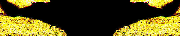 LongMirror1.jpg (282987 bytes)